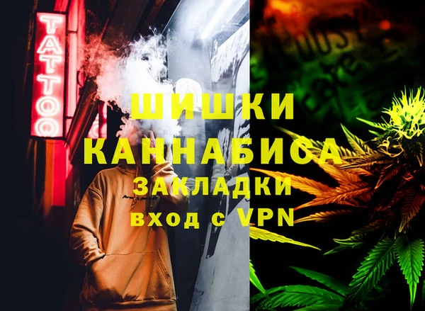 сатива Новокубанск