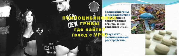 PSILOCYBIN Нязепетровск
