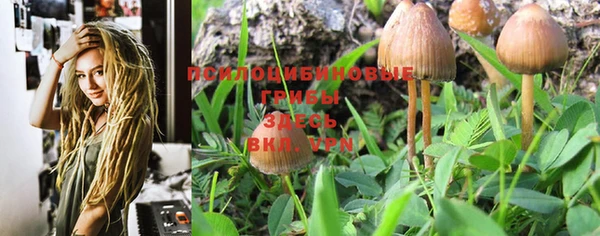 PSILOCYBIN Нязепетровск