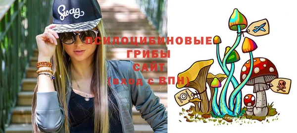 сатива Новокубанск