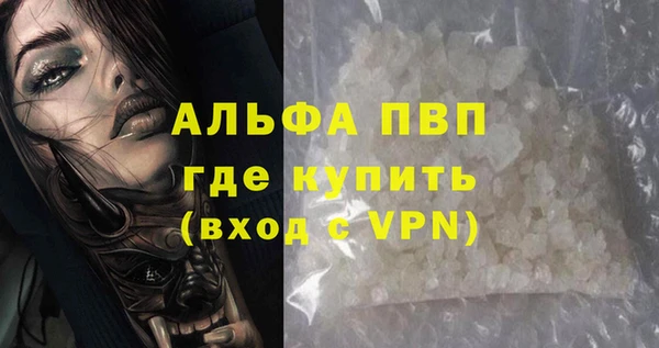 сатива Новокубанск