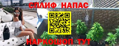шишки Абакан