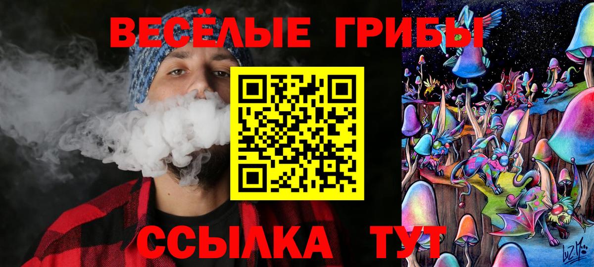как найти закладки  Вход с VPN  Алушта  Псилоцибиновые грибы Psilocybine cubensis 