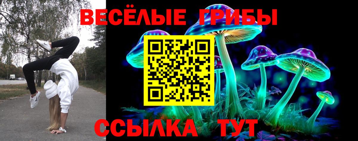 Псилоцибиновые грибы GOLDEN TEACHER Алушта
