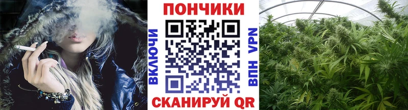 Шишки марихуана марихуана  Алушта 