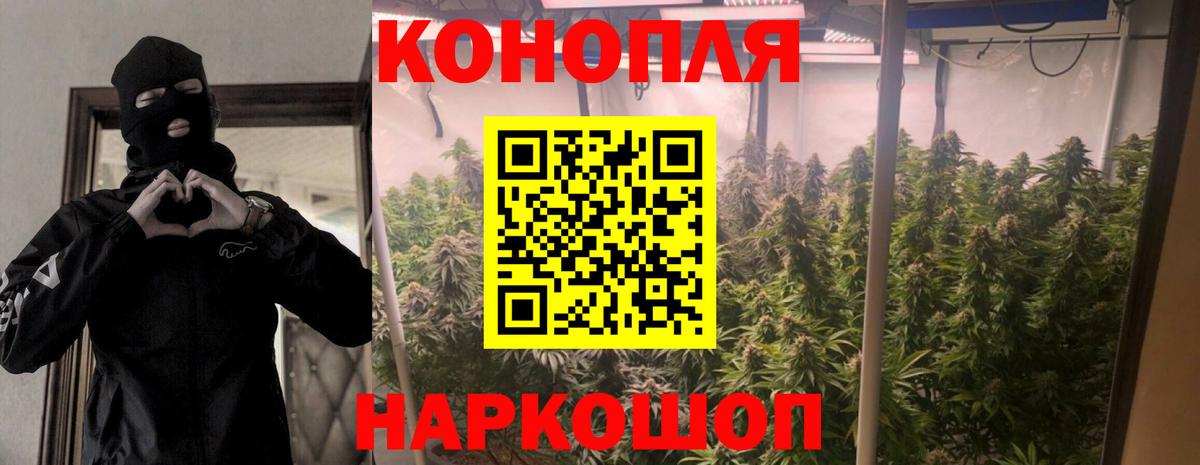 Алушта  Бошки марихуана AK-47  Вход с VPN  Канабис OG Kush  Каннабис планчик 